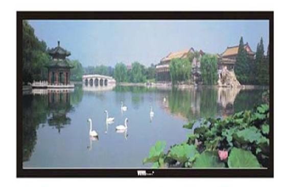 VIVISCREEN-800CH VIVISCREEN-800CH