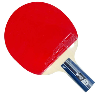 红双喜（DHS）2006 二星级短柄直拍双反胶乒乓球拍 1只装